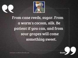 From cane reeds, sugar. From