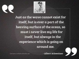 Just as the wave cannot