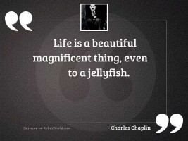Life is a beautiful magnificent 