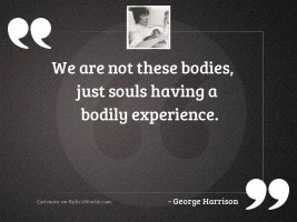 We are not these bodies,