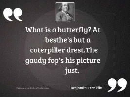 What is a butterfly? At